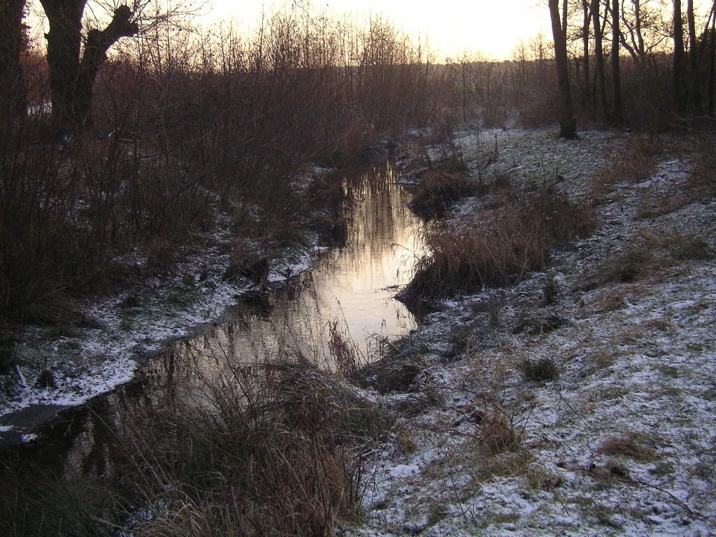 renaturierter Teilabschnitt des "Rode Beek"