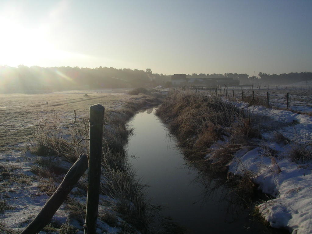 Morgenstimmung am Russcherbeek