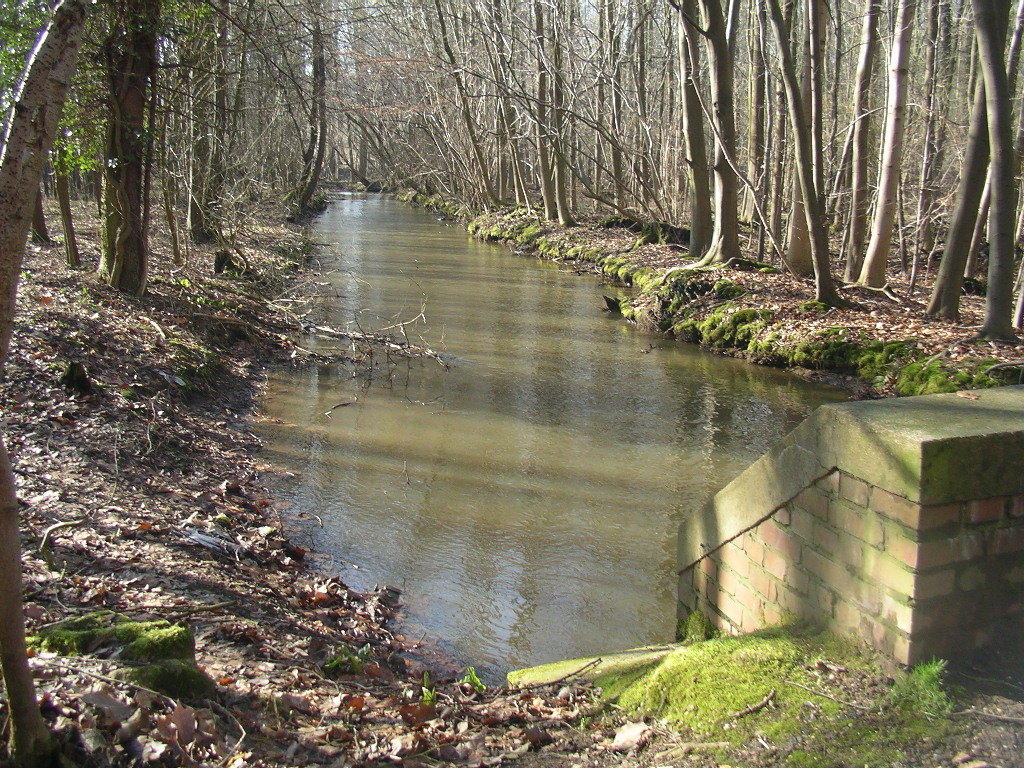 IMGP6674 vorbei am Mühlenteich (der Bach heißt wirklich so) ...
