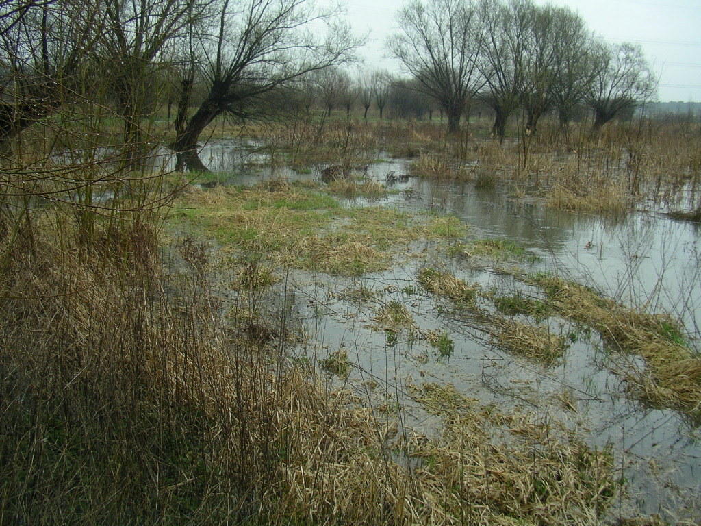 vorbei die Zeiten, als beide noch gerade an der Schnur gezogen, im betonierten, viel zu steilen Kanal gezwängt waren