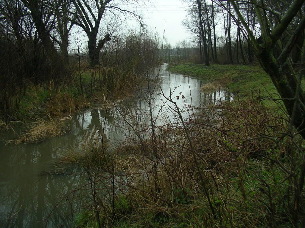 auch im geplanten neuen Biber-Lebensraum ausreichend Wasser