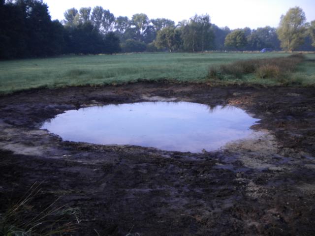 DSCN0766 nach wenigen Tagen bereits