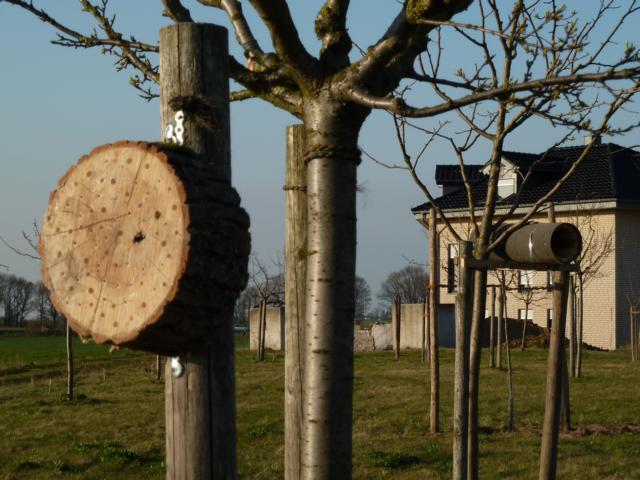 Bild 003