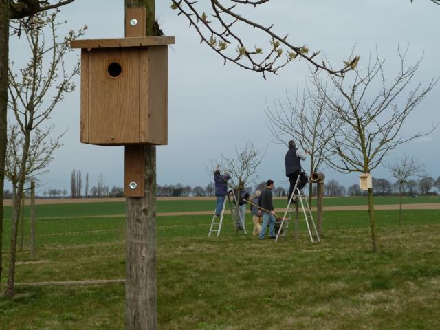Bild 052