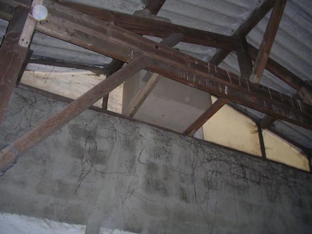 IMGP6343
