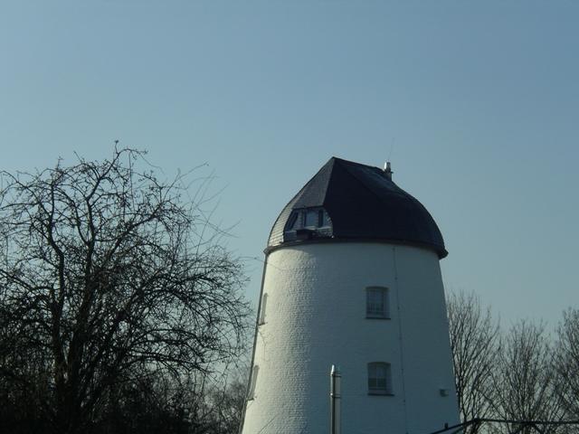 IMGP7315