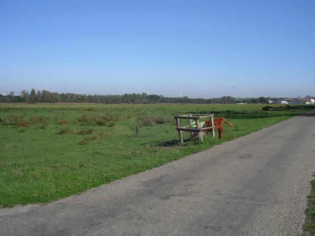IMGP6291
