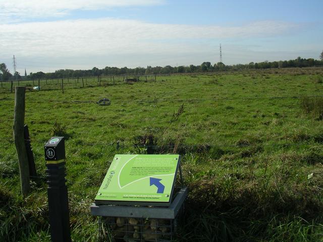 IMGP6292