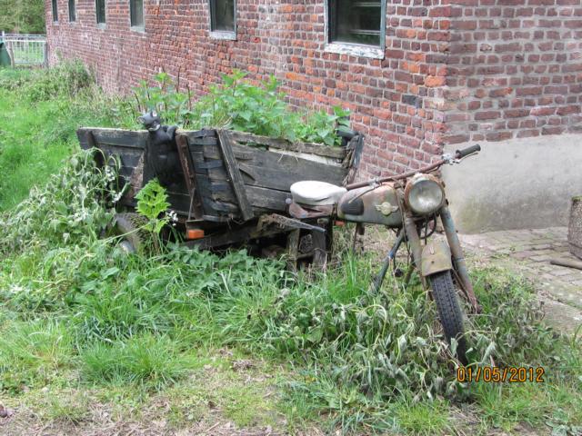 Mulis und umgebr. Weide 021