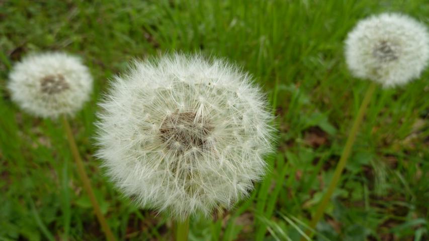 P1060146