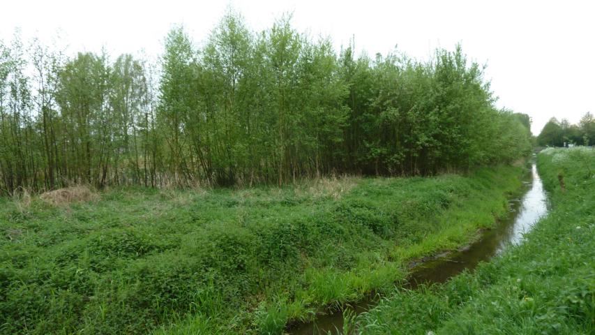 P1060180