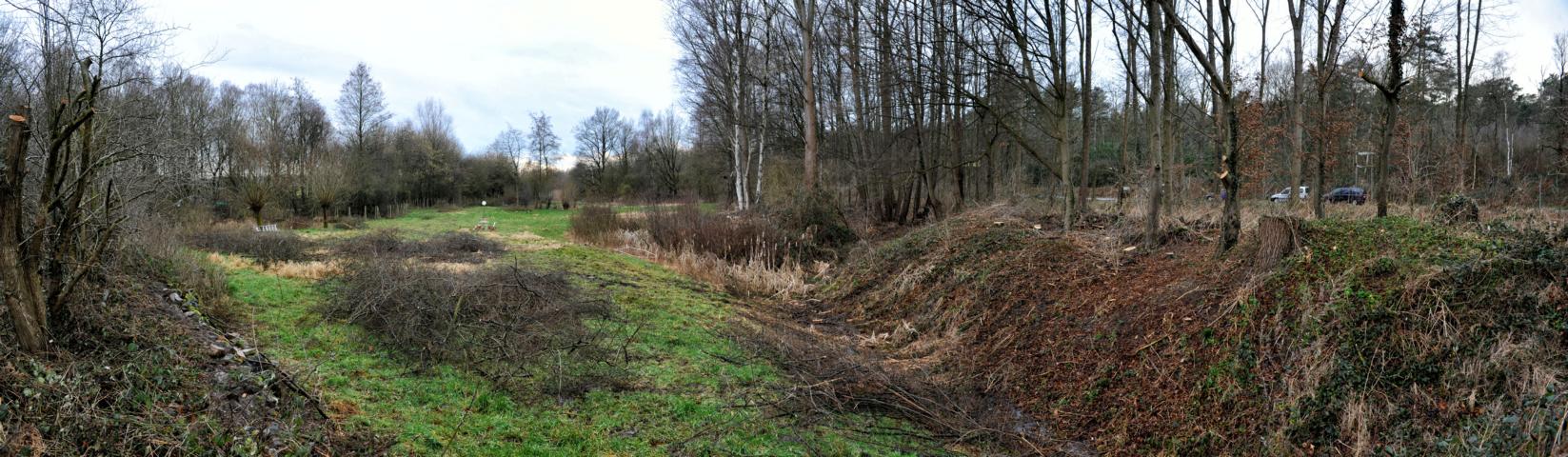 Biotop vorher