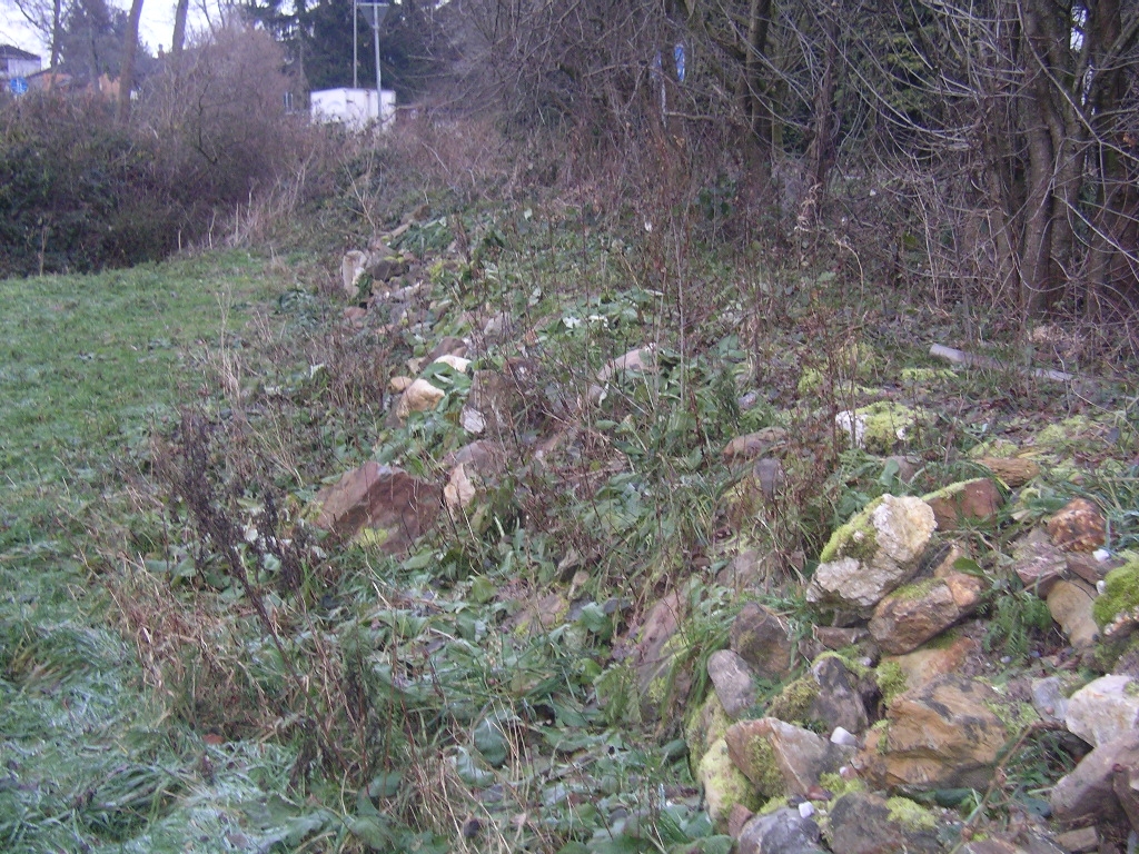 Trockenmauer vorher