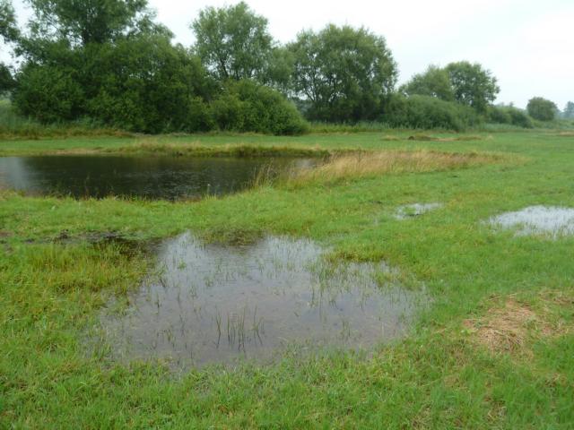 P1100220