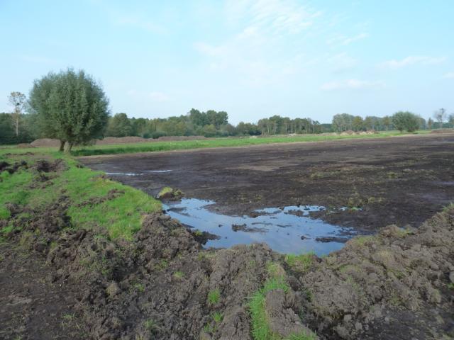 P1100905