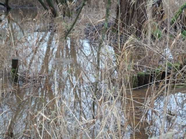 K640_P1110671