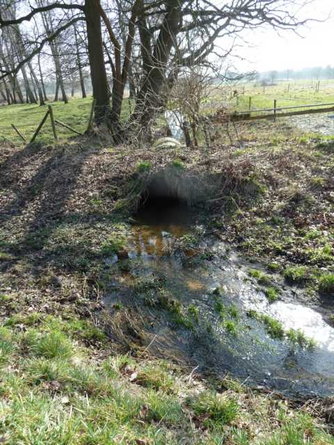 Mündung in das ehemalige Rodebachbett (bei Gangelt-Stahe)