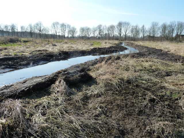 "Wasser marsch!" - herrlich