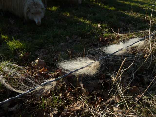 "Möbellager", das man in so manchem Vogelnest wiederfinden wird!
