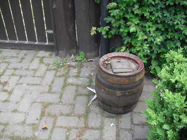 Johanna N. beobacjhtee in ihrem Garten dieses heruntergefallene Fässchen