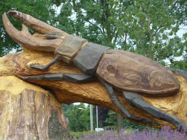 auch außerhalb seiner Flugzeit wird er nicht vergessen - der Hirschkäfer (dieser Hirschkäfer sowieso nicht, weil er als Skulptur einen Kreisverkehr Richtun Doenrade /NL schmückt