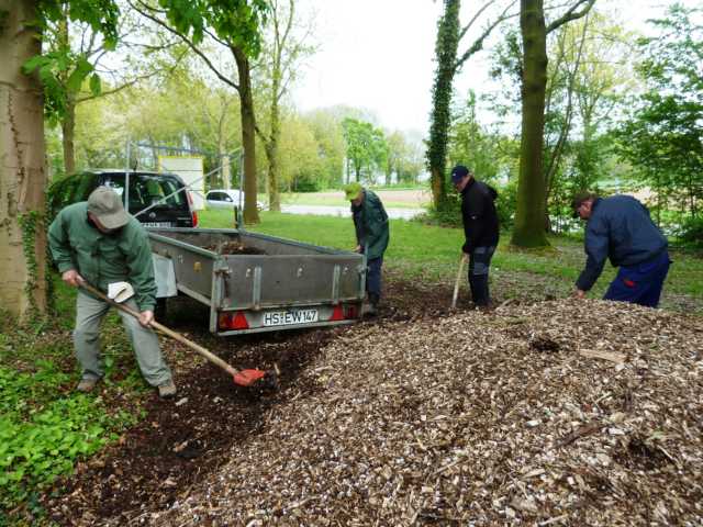 die richtige und angepasste Nahrung -verrottender Eichenmulm - wurde von einer nl. Straßenmeisterei zur Verfüpgung gestellt
