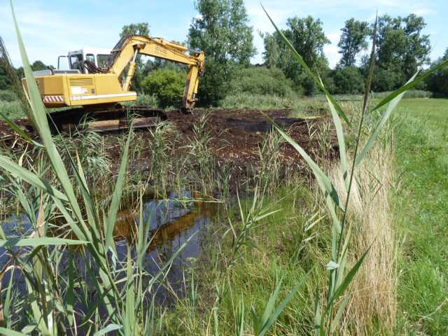 Aufgabe: aus 2 bestehenden kleinen Blänken aus 2013 sollte im grunde genommen 1 große werden, wobei die bestehenden Biotope erhalten bleiben