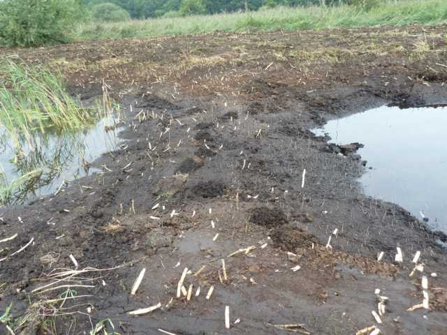 bis dahin schnell noch die Seiten (Ufer) wechseln