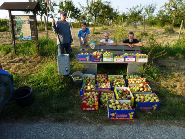 Biuklanz: 30 Kartons voll lupenreiner Äpfel