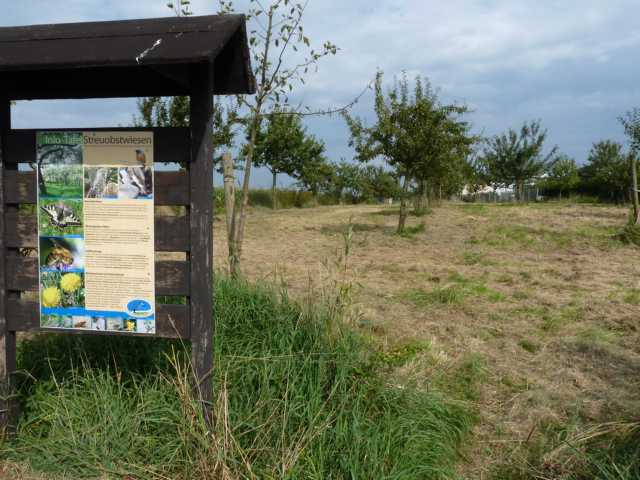 besser konnte es nicht abgesprocghen und geplant sein: Der Technische Dienst der gemeinde hatte Tage zuvor unsere Streuobstwiese gemäht, kein Waten mehr durch hüfthoses Gras