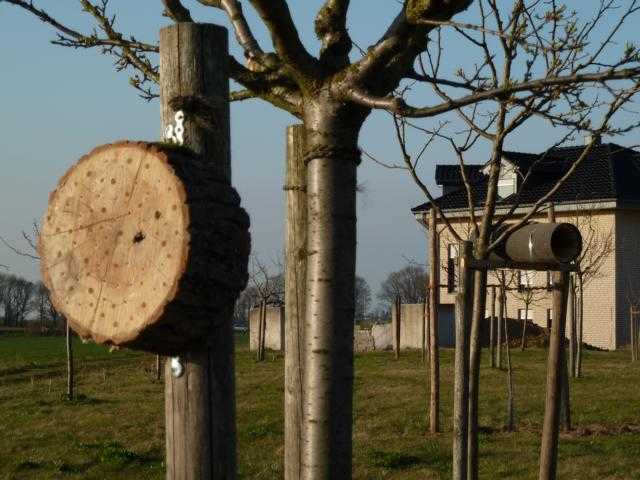 einfaschste Form, solitärlebende Insekten zu fördern und schützen (verchieden gr0ße Öffnungen für verschieden große Bioenen