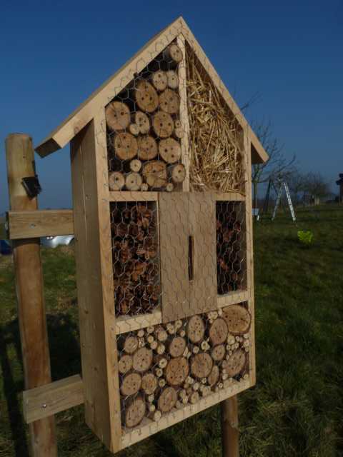 Einsiedlerbienen, sog. solitär lebende Bienen, stellen miot fast95% die größte Gruppe unserer Bioenen dar. Sioe sind Einzelgänger, bildewn also also nicht den Klassischen Staat unserer Honigbienen,