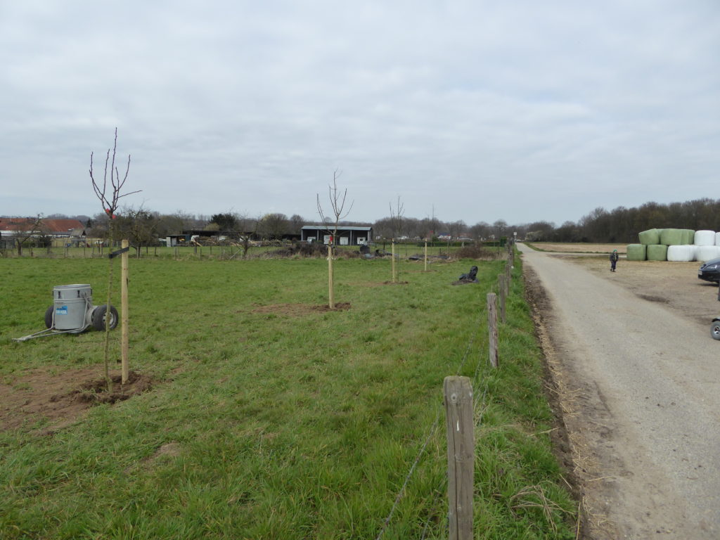 P1000663