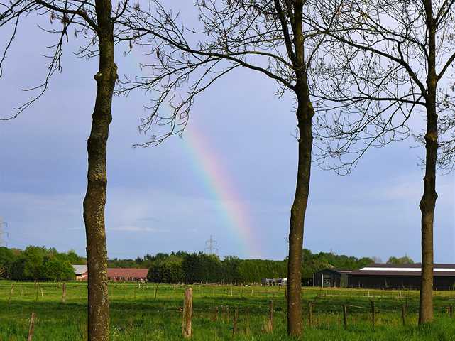 an jesdem 2. Dienstag des Monats heißt normalerweise Mpnatstreff in der Brommler Mühle - hieß es eigentlich im Mai auch: Um das tolle Wetter auszunutzen, vor allem die letztenm Chancen "Ornithologisches" zu bewundern, vor Ort zu besprechen, welche Wasserbaumaßnahmen mit Großgerät in unserer kommenden Arbneitsperiode zu irganisieren sind, fand unser Monatstreff auf dem "Regenwaterbuffer St. Jans Hof" und am Feuchtbiotopp an der Etzenrather Mühle" statt