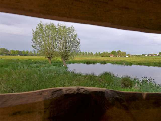 Blick aus der ´vogelschuilhut´