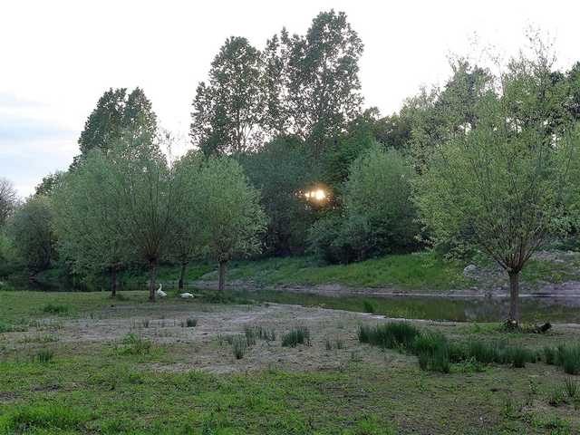 "Feuchtbiotop an der Etzenrather Mühle´ (Renaturierung des historischen Rodebaches Richtun Etzenrathter Mühle