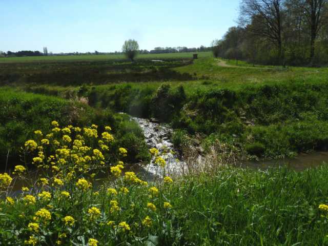 Rode Beek zurück in den Rodebach