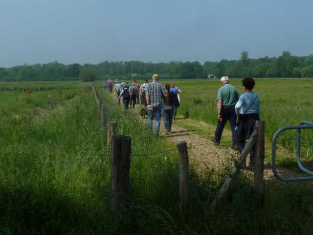 Wanderweg um den Regenwaterbuffer" Ri. Beobachtunghshütte