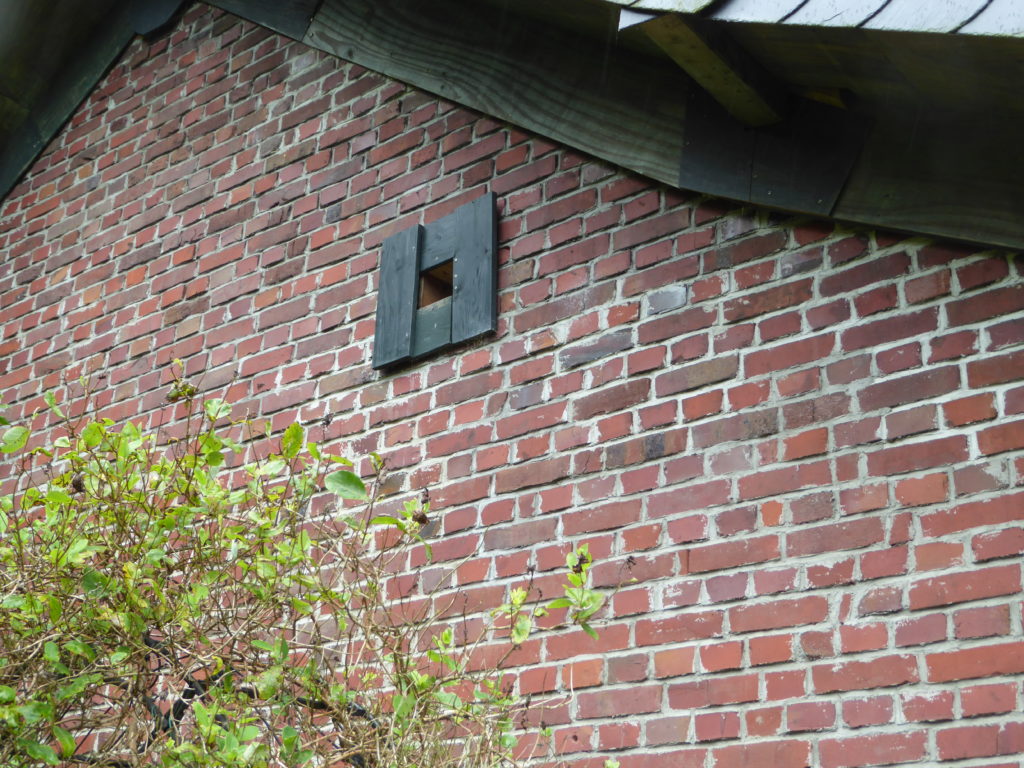 P1010130