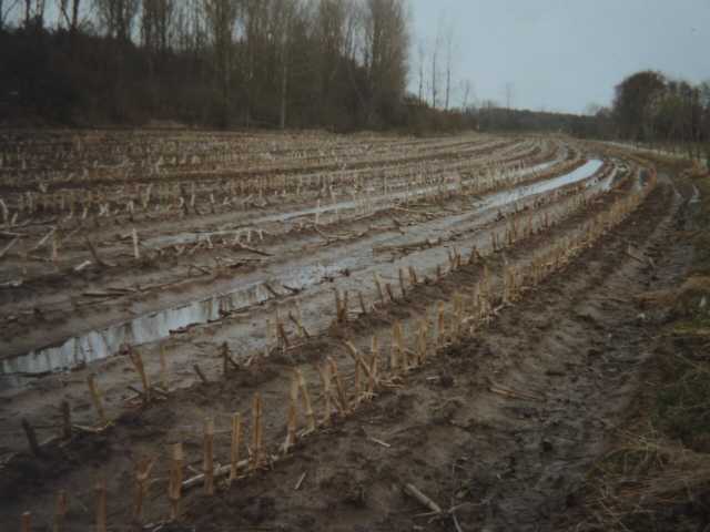 1995 erab die Gem. Gangelt einen intensivst über Jahre als Maisfeld genutzten Acker und stellte ihn dem DBV für Renaturrierngsarbeiten zur Verfügung; die Idee von der Renaturierung des historischen Rodebachbachverlaufs Rodebachverlauf