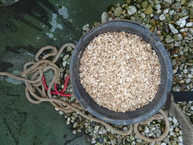 weiche Einstreu geeignet ist (hier Buchenhäcksel)