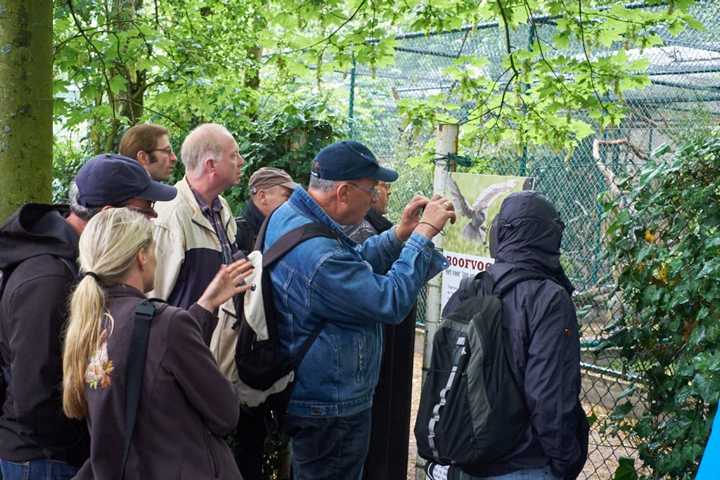 in dem TZusammenhang in der Koop. mit der Auffang- und Pflegestation in Opglabbeek (B)