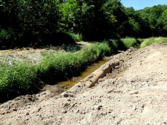 parallel dazu wurden in den vergengenen Tagen diverse Wasserbaumaßnahmen an anderen Stelle der Renatzurierungsmaßnahme zu beobachten