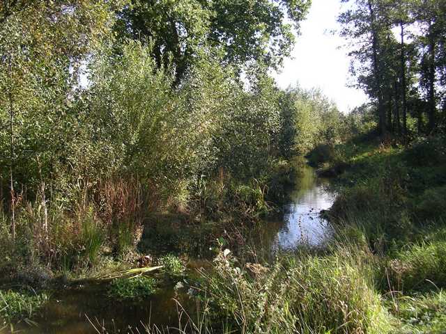 auch das ist Rode Beek