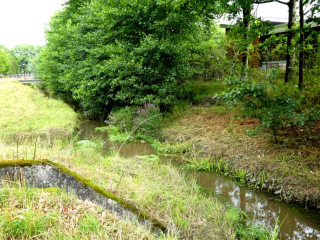 Rode Beek unmittelbar vor Erreichen von Schinveld