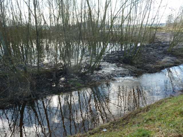 Rode Beek : bei Hochwasser schlägt er ab in den parallel verlaufebndebn REodebach
