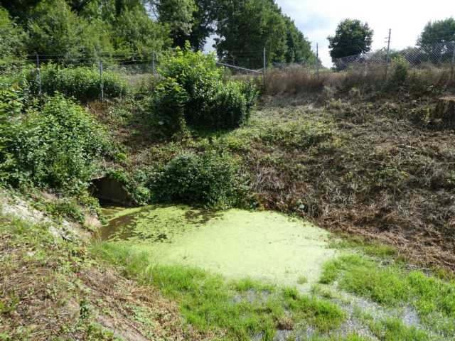 nördlich von Etzenrade, Richtung Bingelrade, sind vor Jahren schon mehrere sog. buffer (Regnauffangbecken) angelegt worden, die bei Strajregen die ungeheuren Wassermengen aus der permanent ansteigenden Feldflur auffangen
