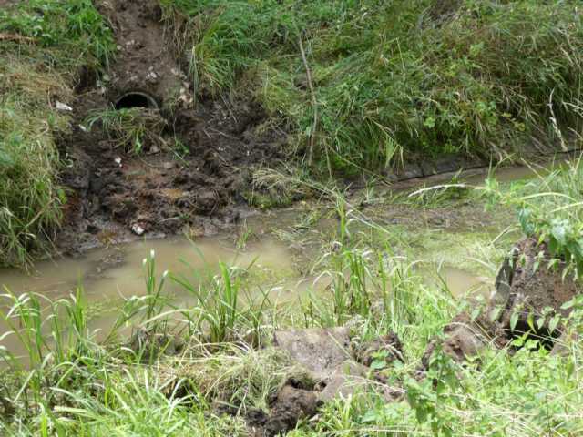 wie gesagt: möglichst alles Wasser in der Fläche!