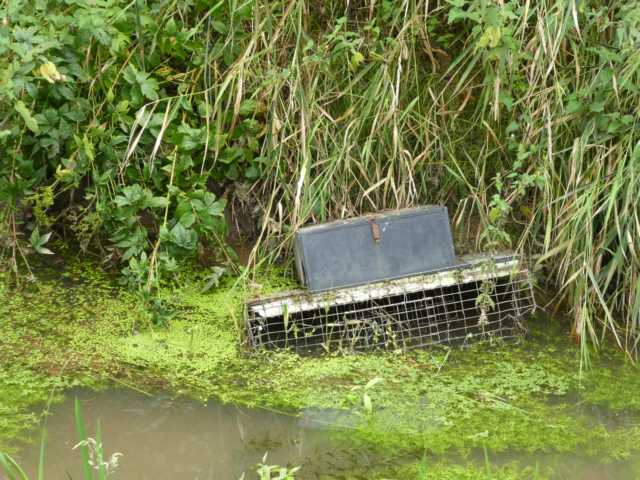 Fallen für Nutria und Bisamratte ausgedient