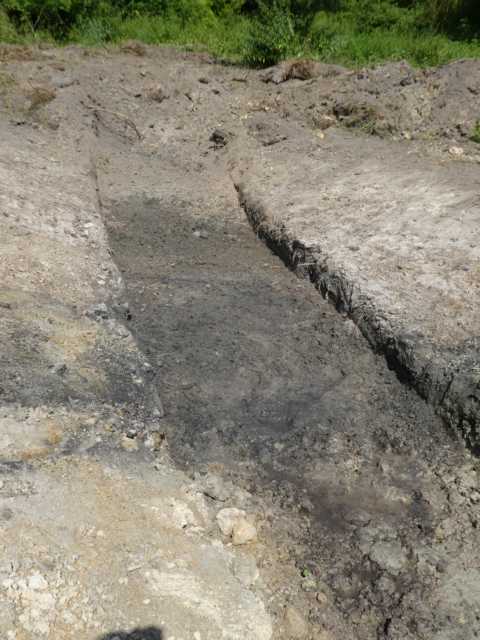 intressant: Feuchtigkeit und passende Mineralien an heißen Tagen ein Magnet für etliche Schmetterlinge